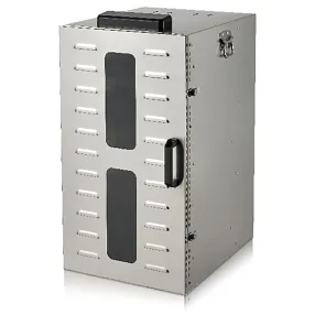 дегидратор для овощей и фруктов roal jy-1022a